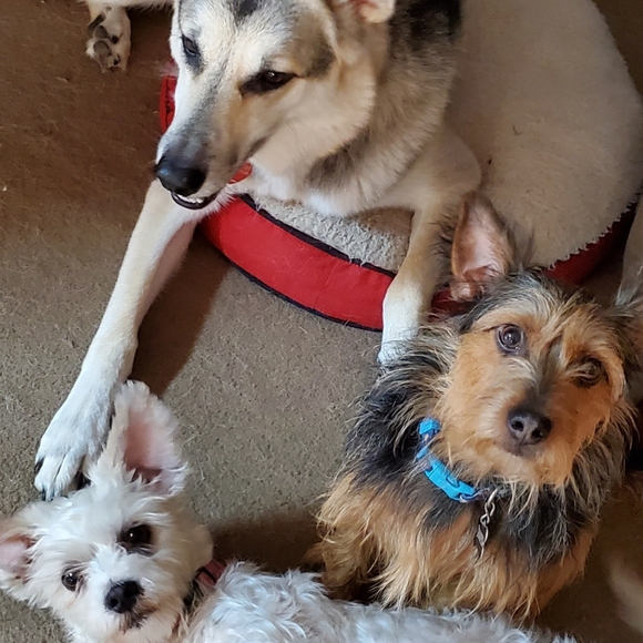 🔥 ➡️ 25% OR MORE OFF ALL BUNDLES of 2+ ITEMS‼️ - Picture 5 of 8